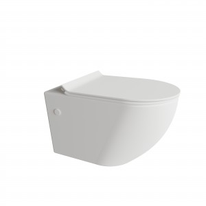 Wall Hung Toilet Bowl including Soft Close Seat, Glossy White Ceramic,Dual Flush