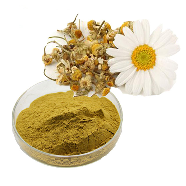 Chamomile Extract Chamomile Extract apigenin being widely studied for its anti-cancer properties