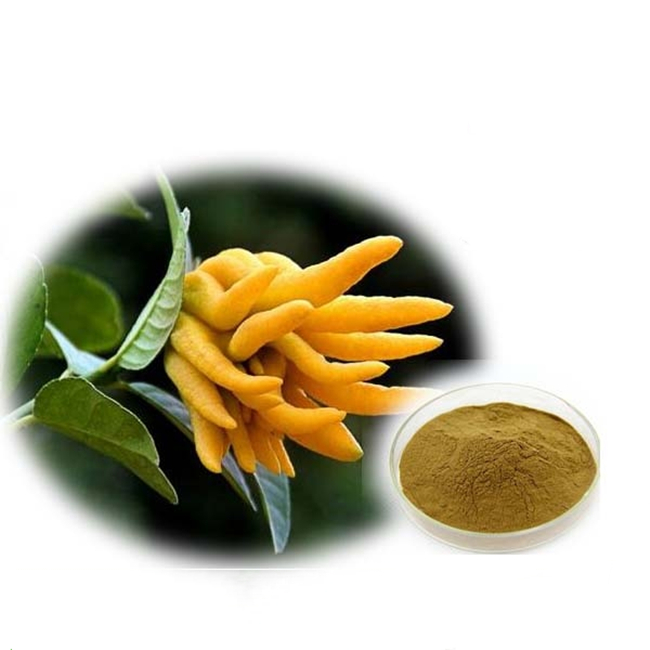 Citrus bergamia Extract