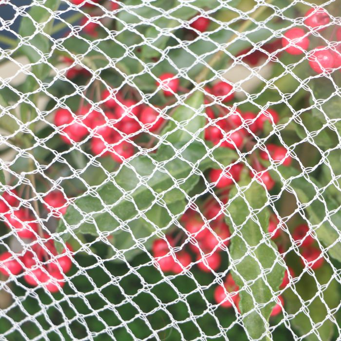 Knitted Anti Bird Net