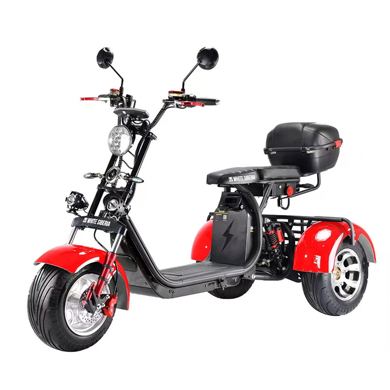 S13W Citycoco – A Revolutionary Luxury Electric Trike