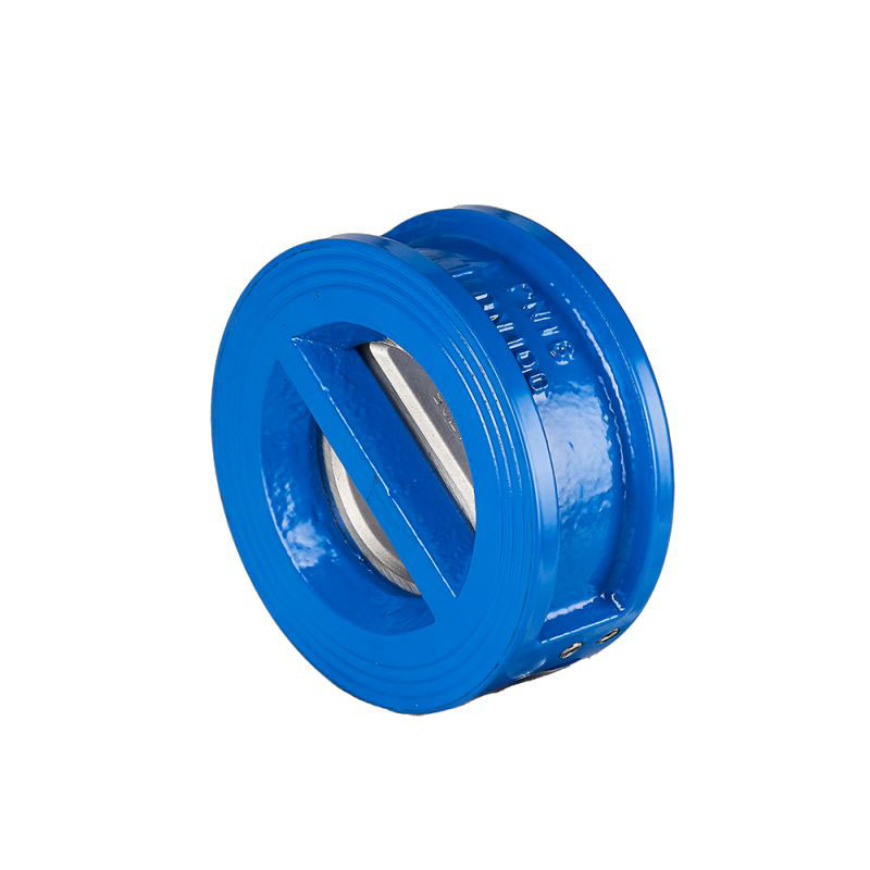 DI CI SS304 Dual Plate Check Valve