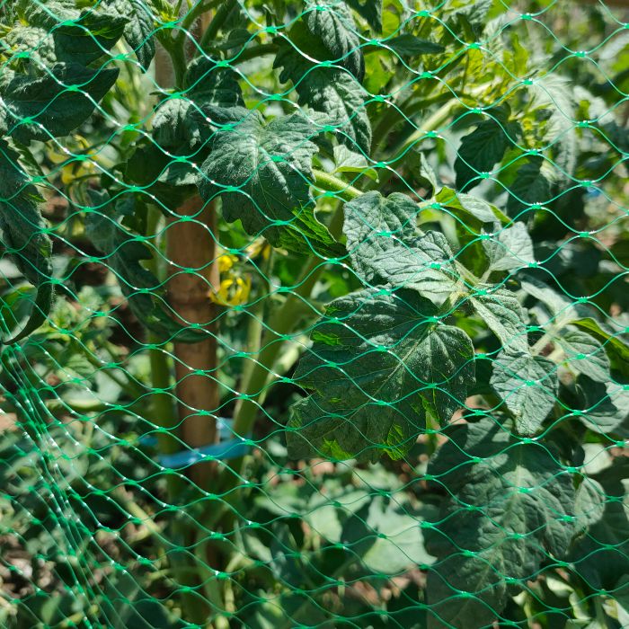 Extruded Anti Bird Net
