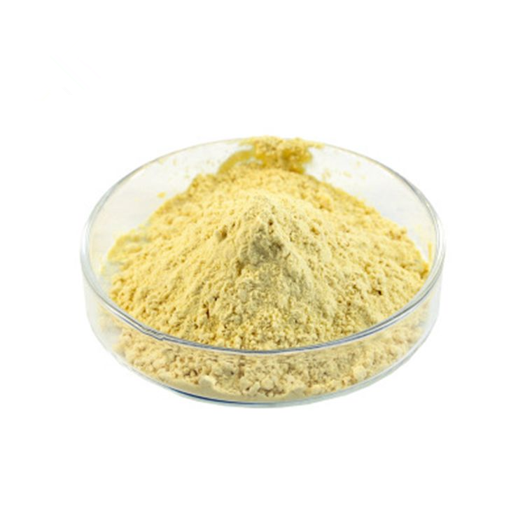 Phosphatidylesrine