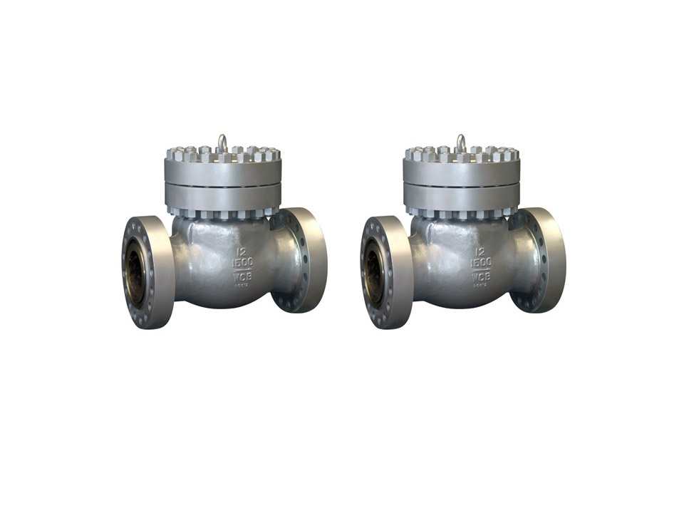 check valve