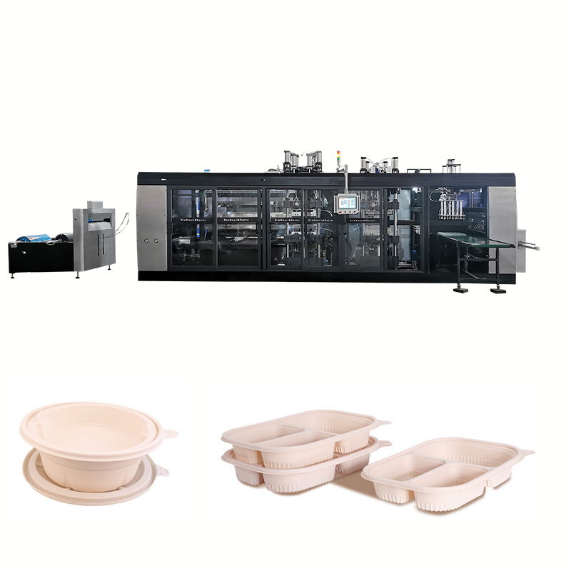 PLA Degradable Compostable Plastic Lunch Box Plate Bowl Tray Thermoforming Machine